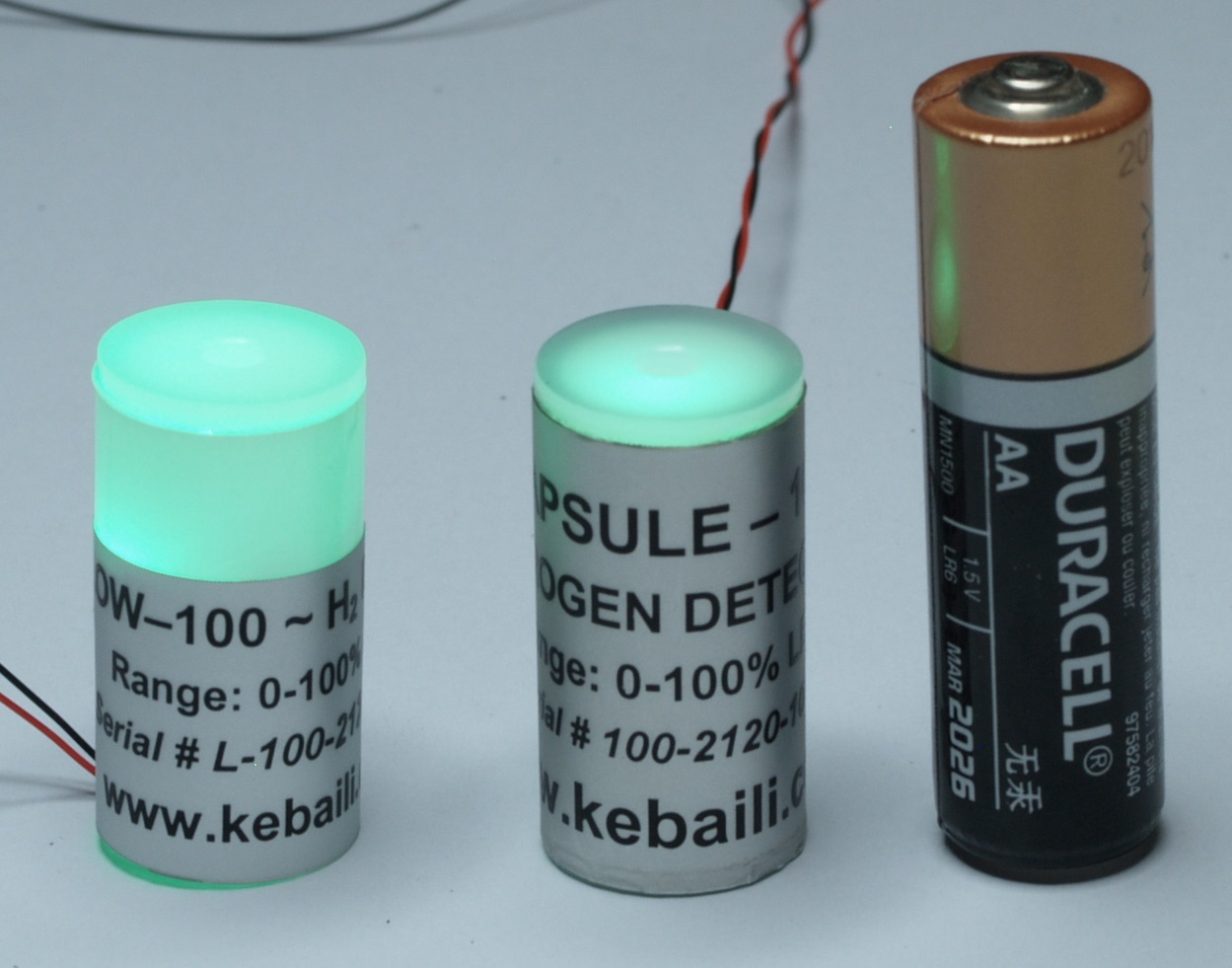 CAPSULE & GLOW Series Hydrogen Detectors
