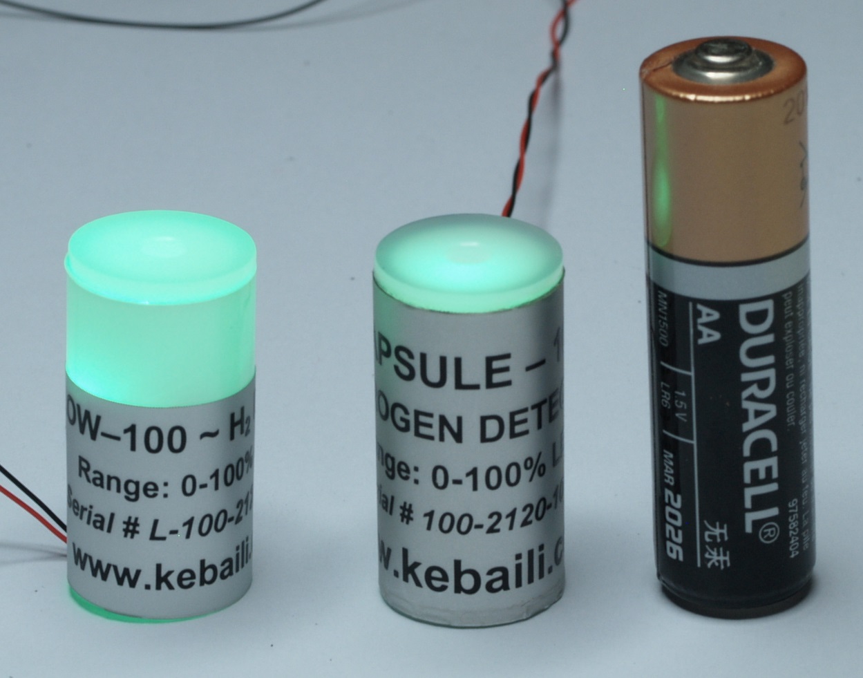 CAPSULE & GLOW Series Hydrogen Detectors