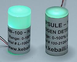 CAPSULE Series Hydrogen Detectors